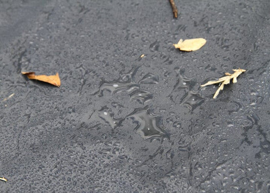 Bora Bora Outdoor Sunlounge Covers - Pre-Order April 2026 SUN REPUBLIC