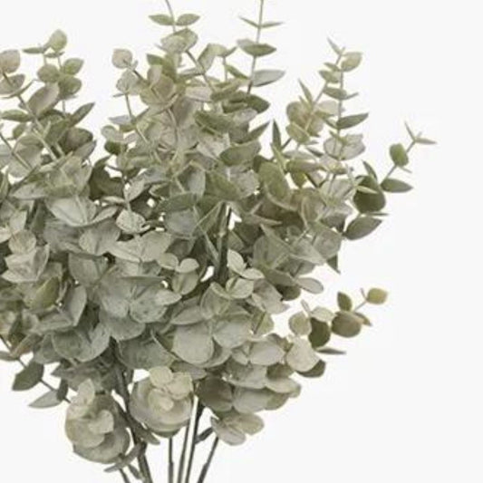 Eucalyptus Bush - Natural Green Sun Republic