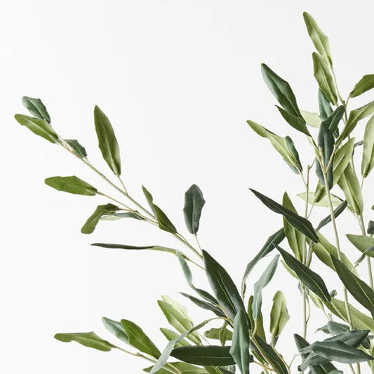 Olive Spray Stem Sun Republic