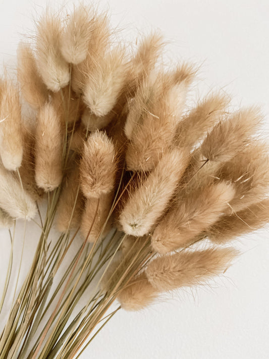 Dried Bunny Tails Natural SUN REPUBLIC