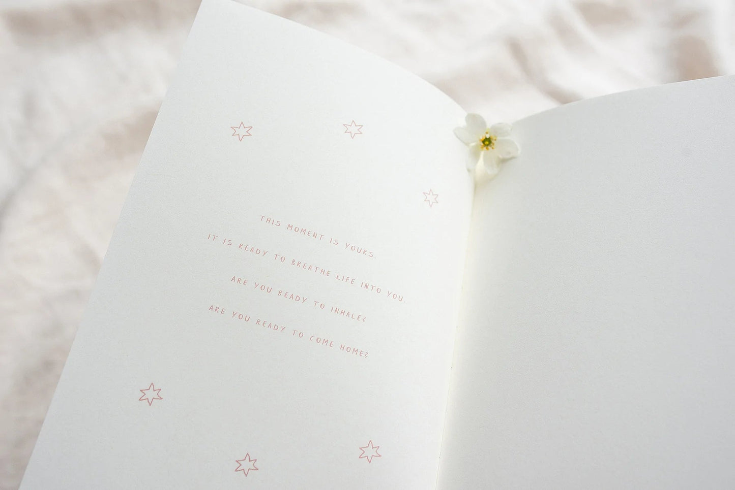 Gold Foil Hard Cover Soy Ink A5 Journal | Natural Sun Republic