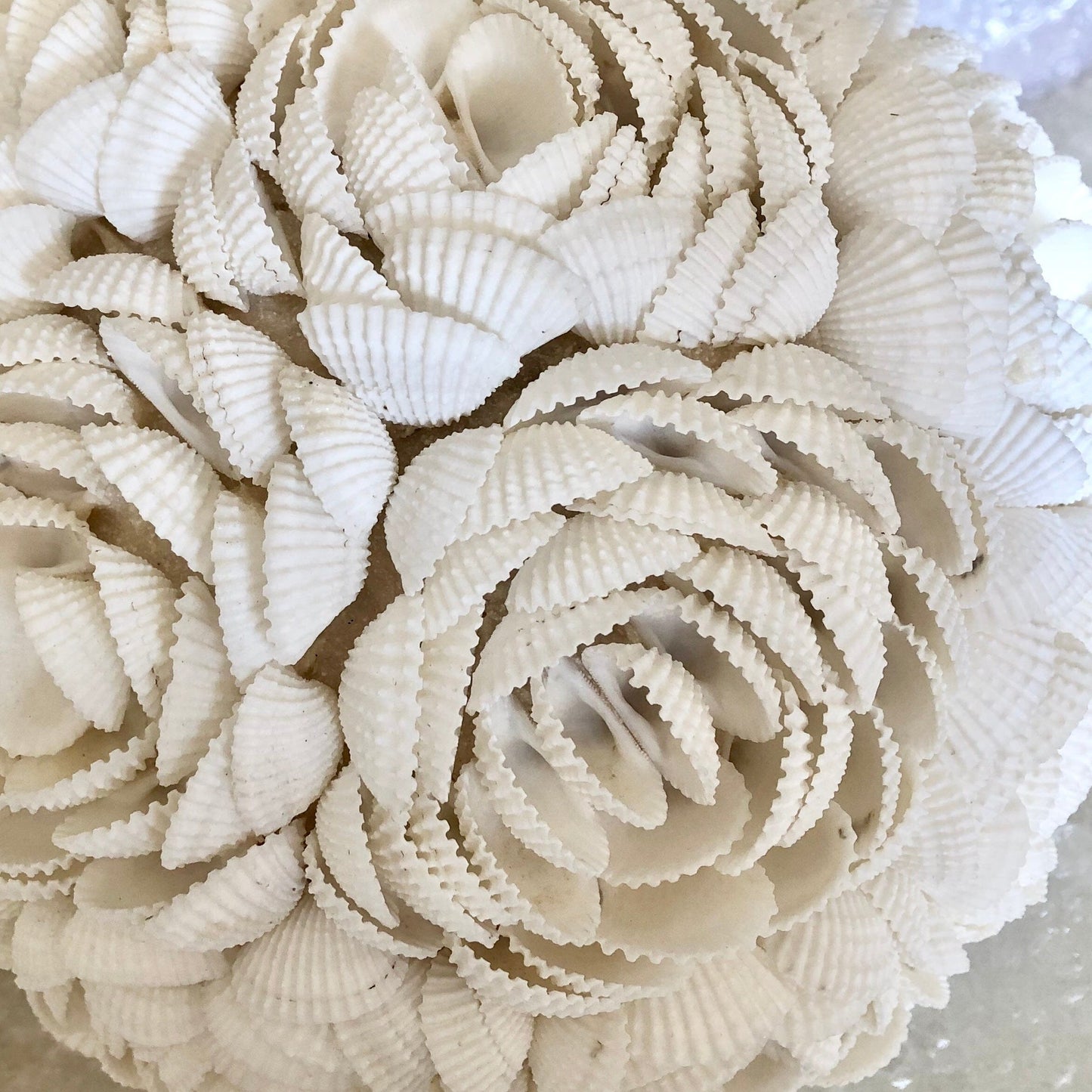 Large Rose Flower Shell Ball SUN REPUBLIC