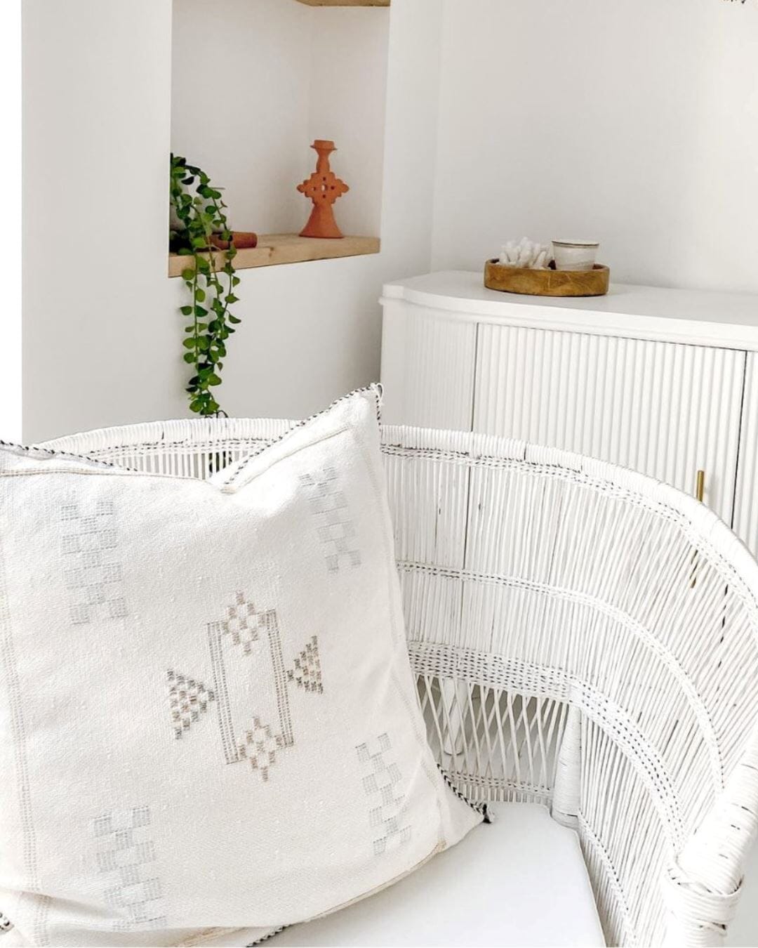 Care Instructions for Sabra (Cactus Silk)