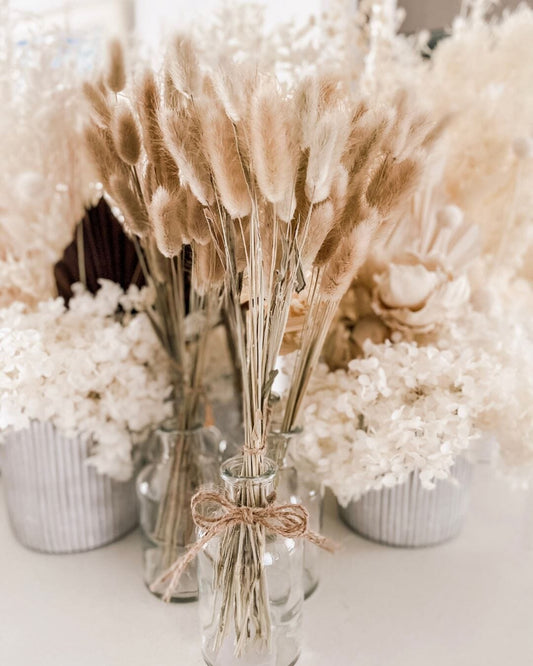 Preserved Flower Care