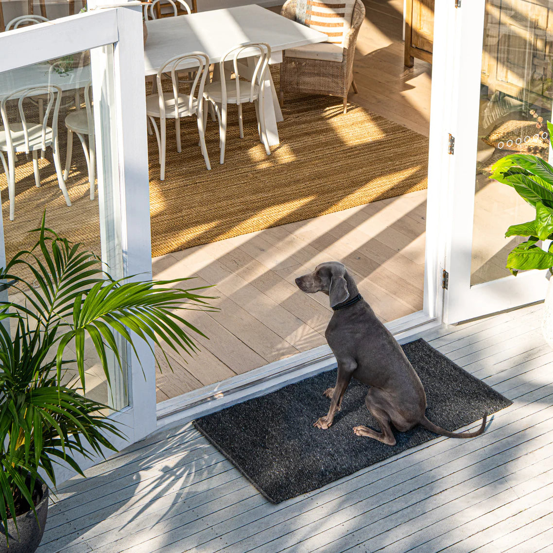 Dog sitting on a doormat at the entrance of a house with a view of a dining area.