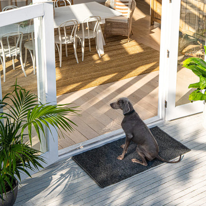 Dog sitting on a doormat at the entrance of a house with a view of a dining area.