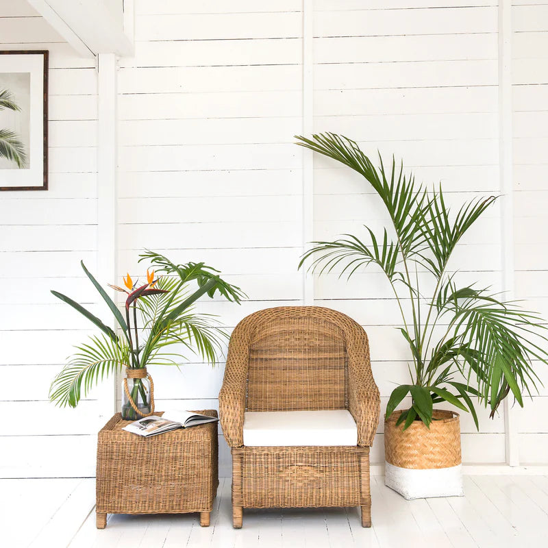 Wicker armchair with a small table and plants against a white wooden wall.