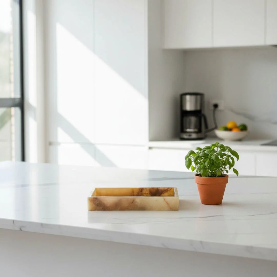 Kitchen counter with a potted plant and a natural onxy  tray on a white marble countertop.