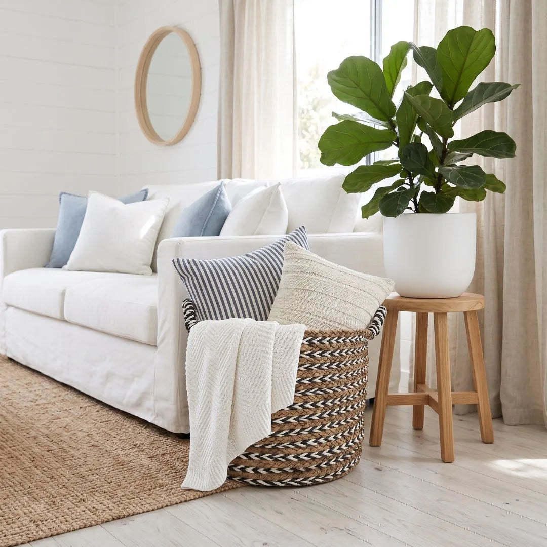 A styled living room scene featuring a white sofa with blue and white pillows, a woven basket holding a cream throw blanket, and a large green fiddle-leaf fig plant in a white pot on a small wooden stool.