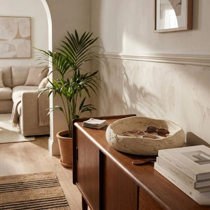 Living room with wooden sideboard, plant, and books