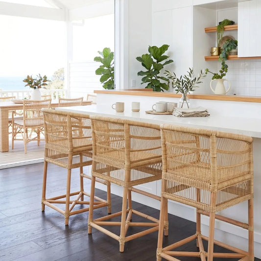 Kitchen with white countertops, wooden chairs, and plants