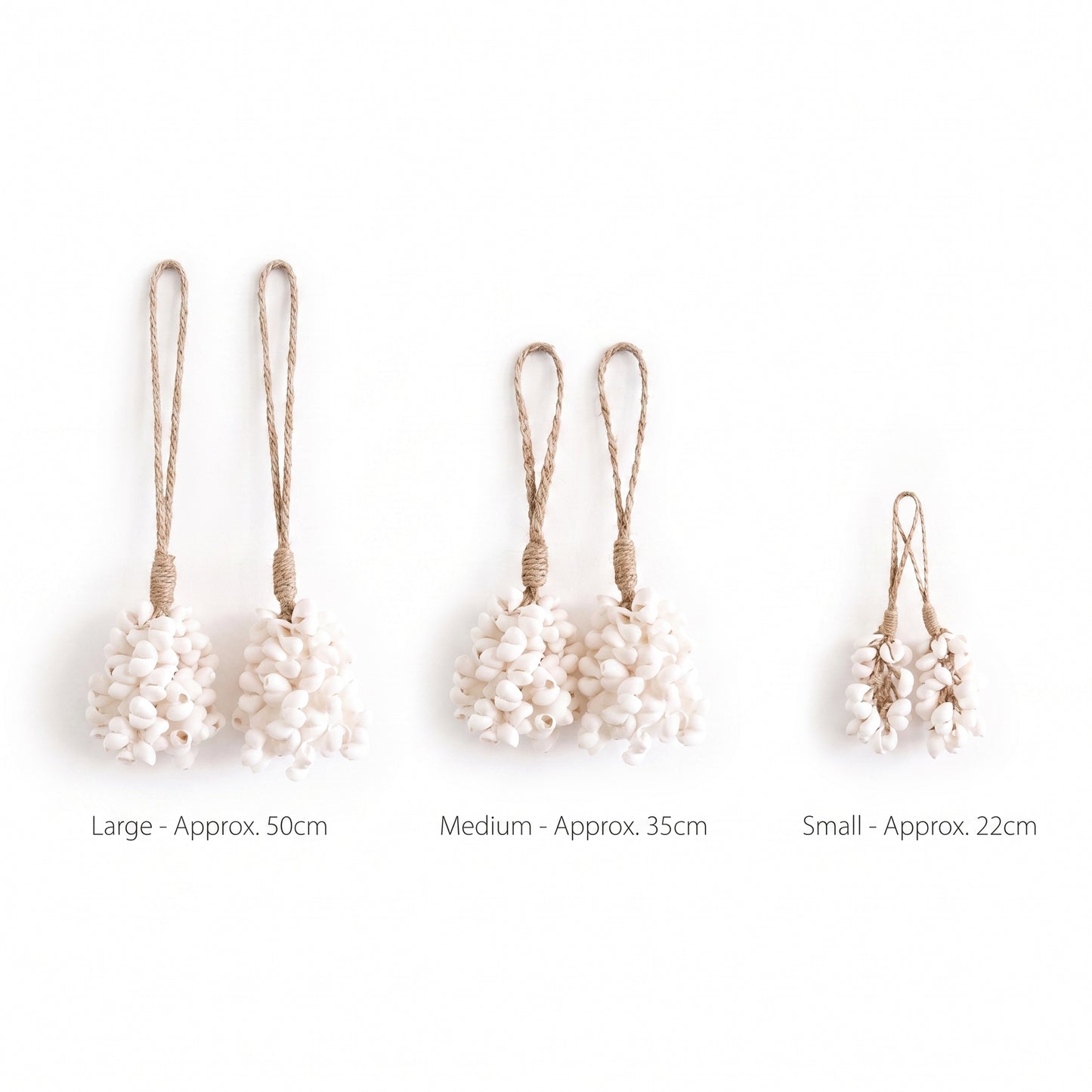 Three pairs of shell cluster earrings with jute loops shown in large, medium, and small sizes on a white background, with size labels underneath.