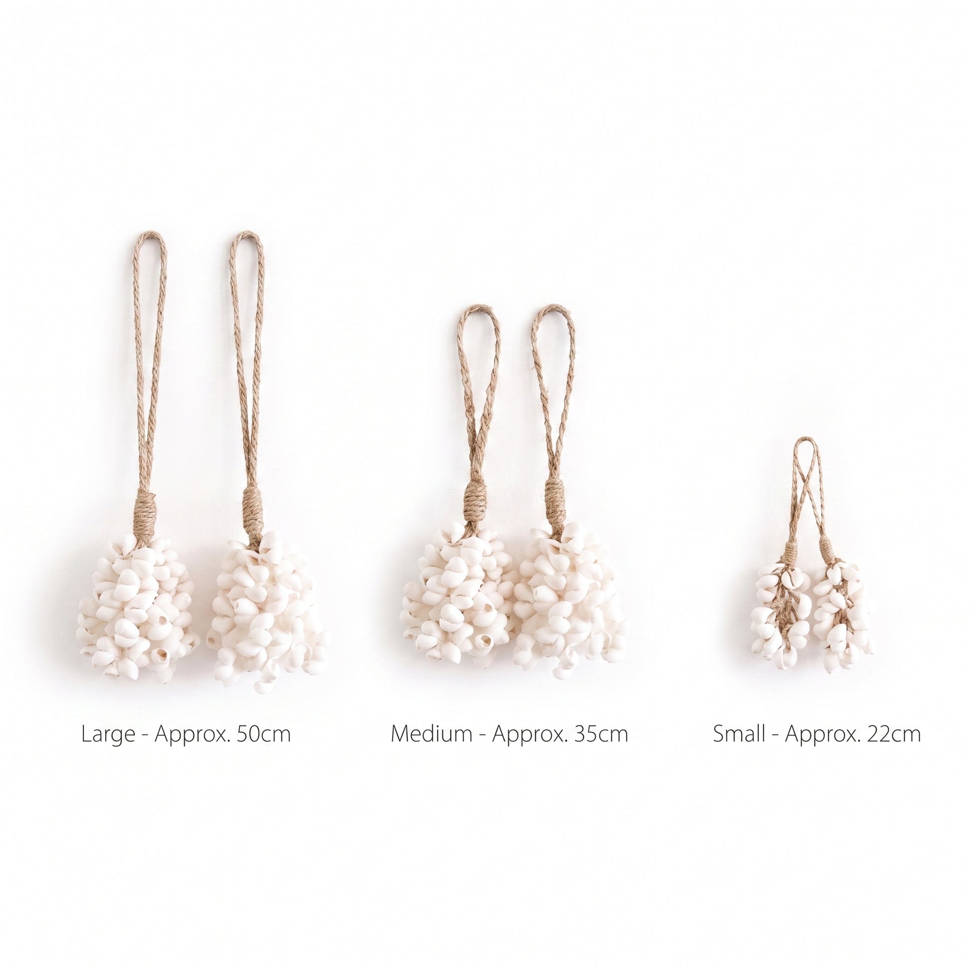 Three pairs of shell cluster earrings with jute loops shown in large, medium, and small sizes on a white background, with size labels underneath.