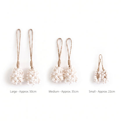 Three pairs of shell cluster earrings with jute loops shown in large, medium, and small sizes on a white background, with size labels underneath.