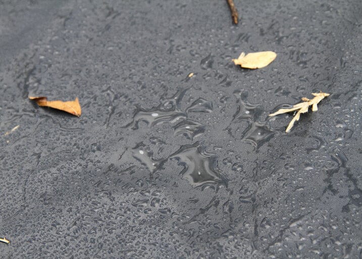 Bora Bora Outdoor Sunlounge Covers - Pre-Order April 2026 SUN REPUBLIC 