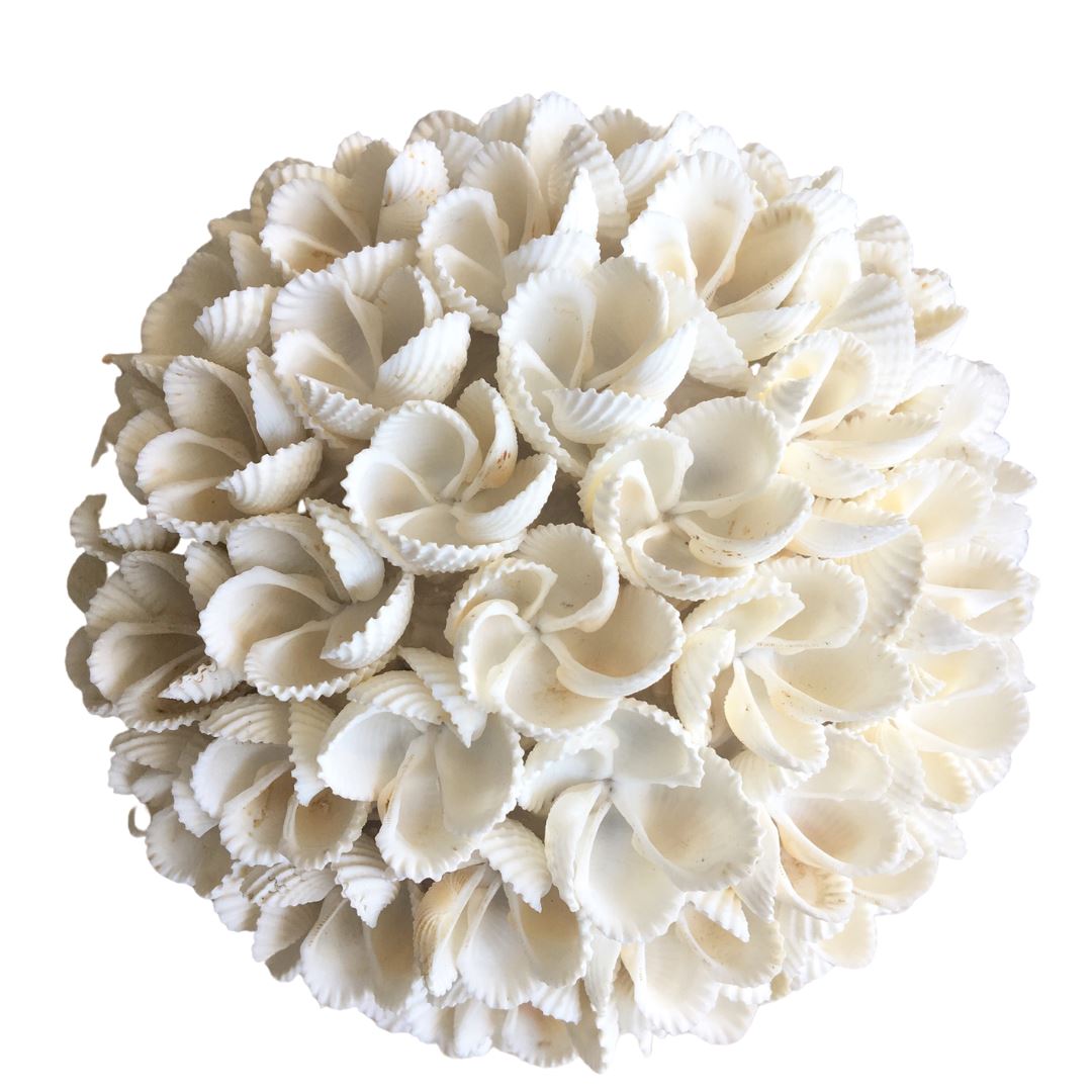 Large Frangipani Flower Shell Ball SUN REPUBLIC 