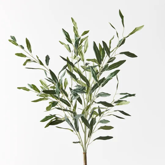 Olive Spray Stem Sun Republic 