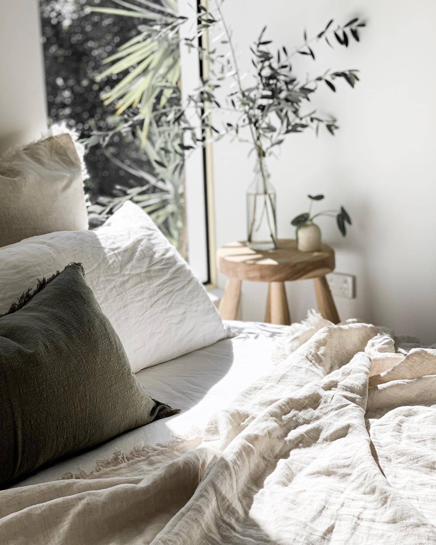 Cozy bedroom with a bed, pillows, and a small wooden table with a plant.