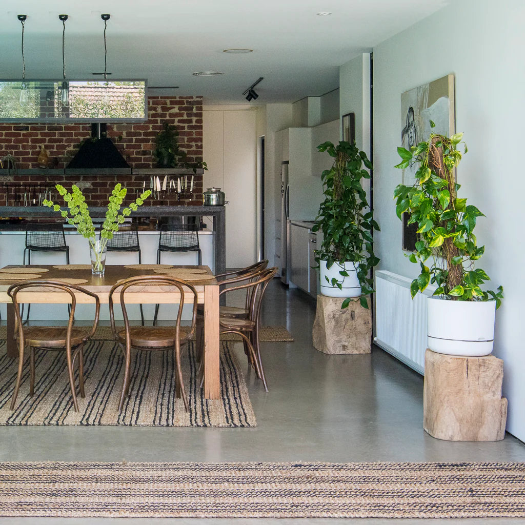 Stripe Natural Jute Floor Rugs & Runners 