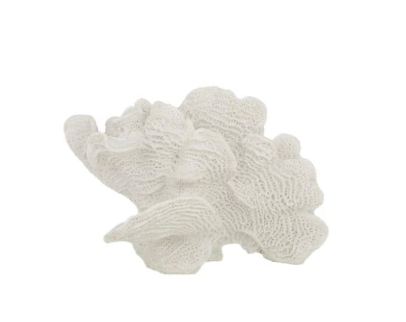 Decorative Coral Décor | Foliose SUN REPUBLIC 