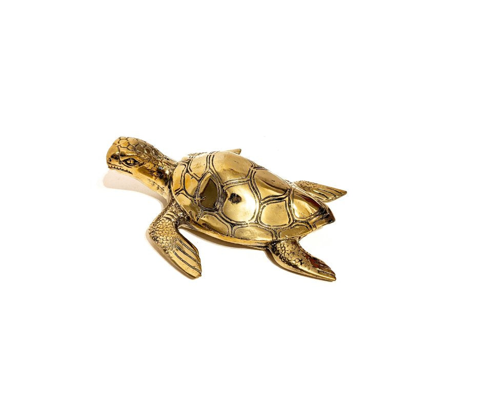 Gold Brass Turtle Sun Republic 