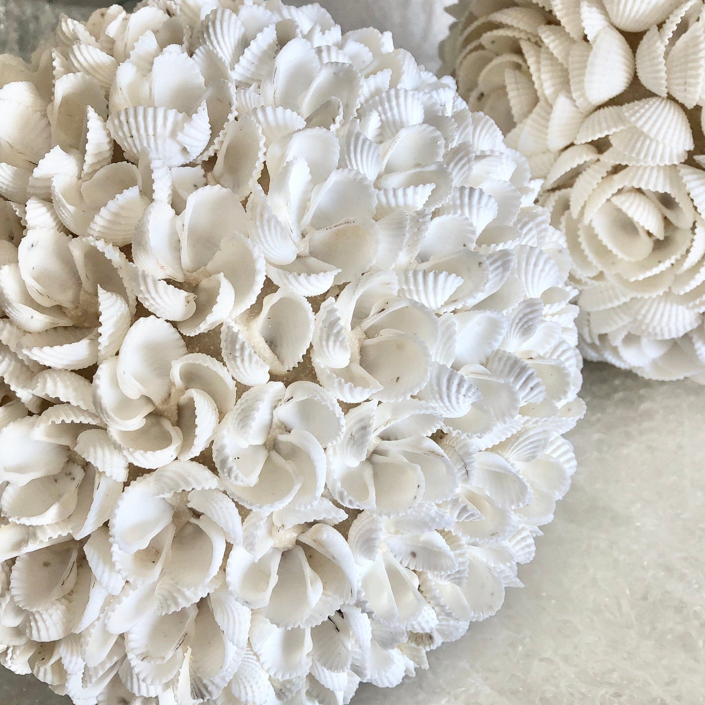 Large Frangipani Flower Shell Ball SUN REPUBLIC 