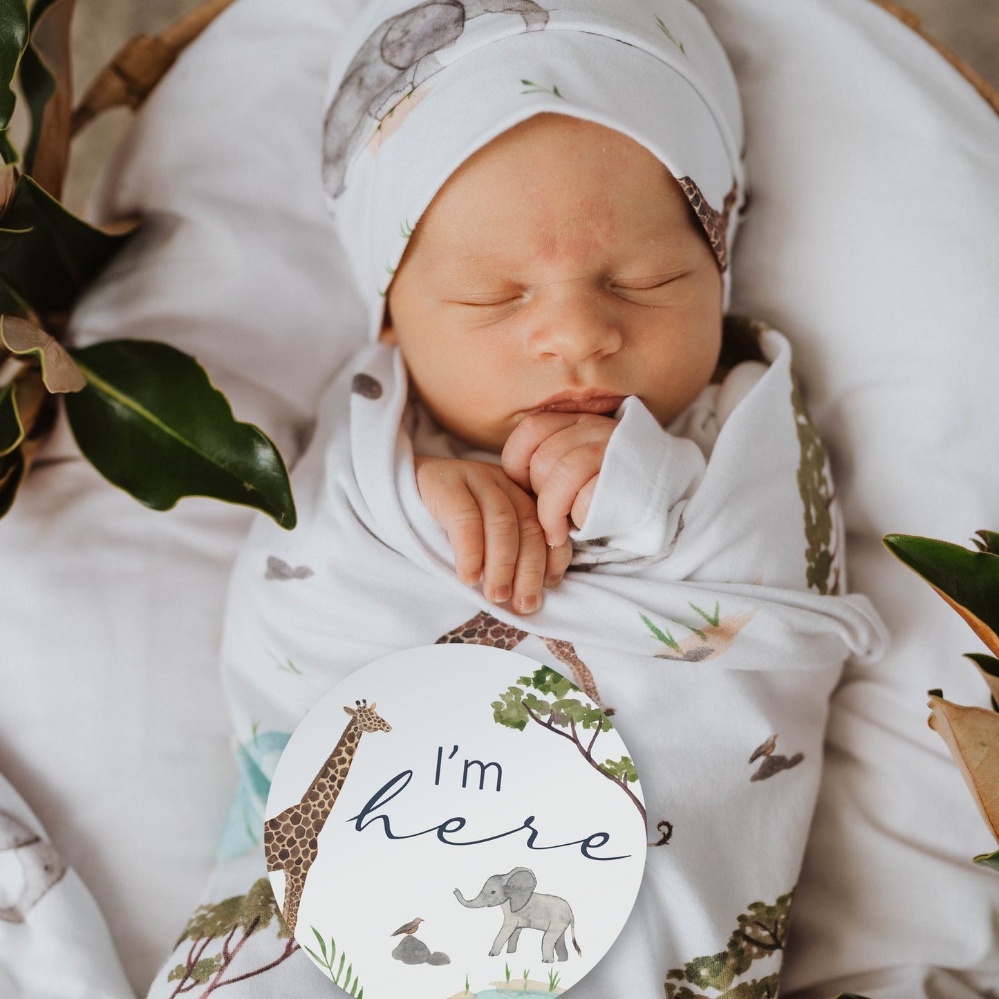 Navy Safari Baby Reversible Milestone Cards Snuggle Hunny 