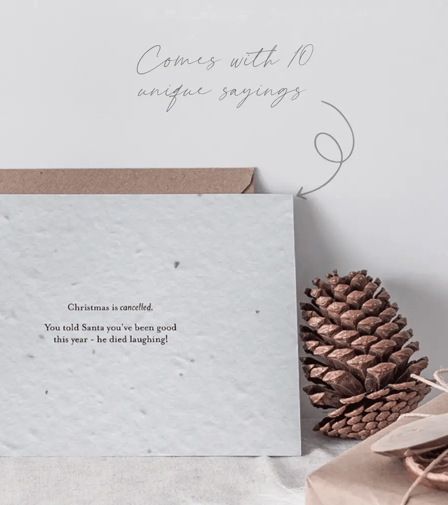 Plantable Seeded Christmas Cards | Set of 10 Axel & Ash 